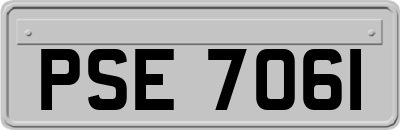 PSE7061