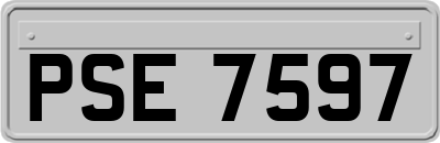 PSE7597