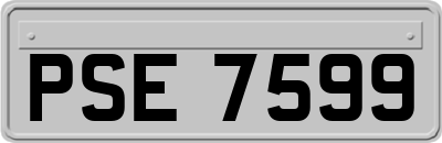 PSE7599