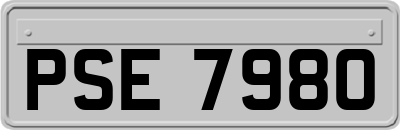 PSE7980