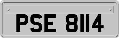 PSE8114