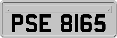 PSE8165