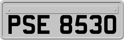 PSE8530