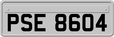 PSE8604