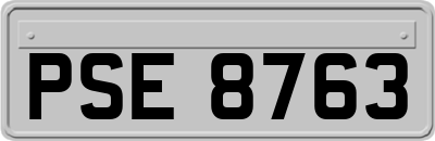 PSE8763