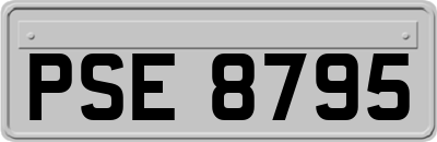 PSE8795