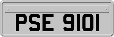 PSE9101
