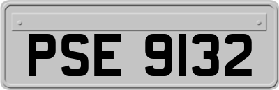PSE9132
