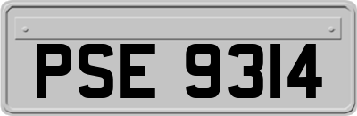 PSE9314