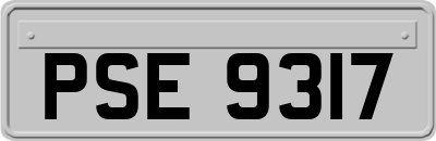 PSE9317