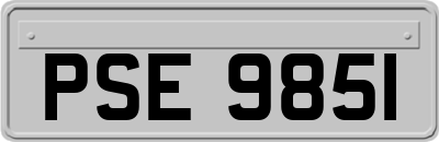 PSE9851