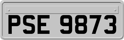 PSE9873