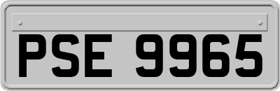 PSE9965