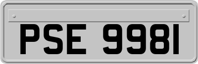 PSE9981