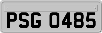 PSG0485