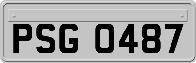 PSG0487
