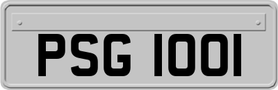 PSG1001