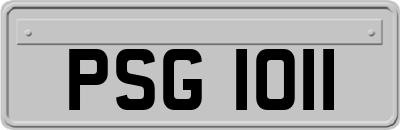 PSG1011