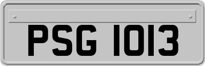 PSG1013