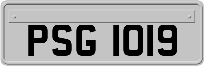 PSG1019