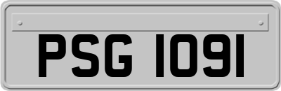 PSG1091