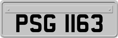 PSG1163