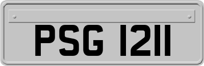 PSG1211