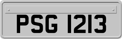 PSG1213