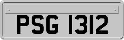 PSG1312