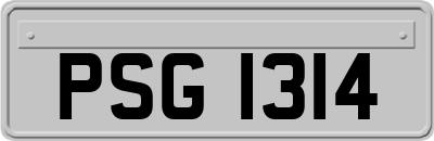 PSG1314