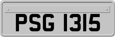 PSG1315