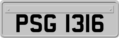 PSG1316