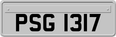 PSG1317