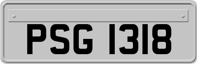 PSG1318