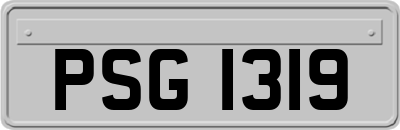 PSG1319
