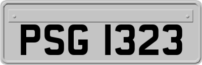 PSG1323