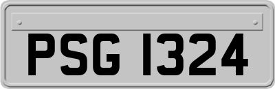PSG1324