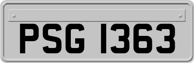 PSG1363
