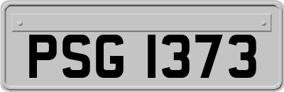 PSG1373