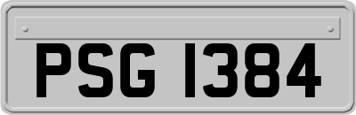 PSG1384