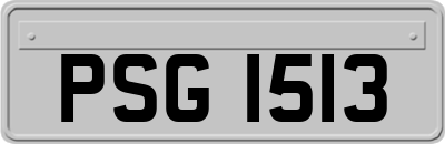 PSG1513