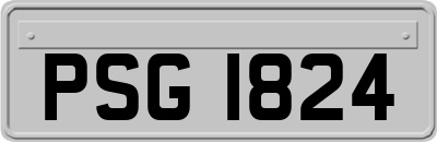 PSG1824