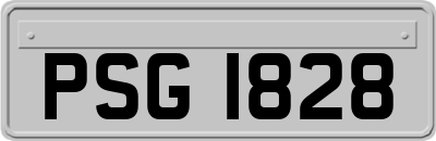 PSG1828