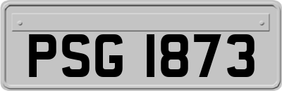 PSG1873
