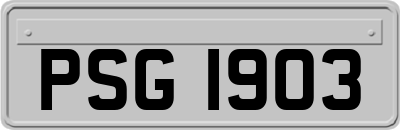 PSG1903