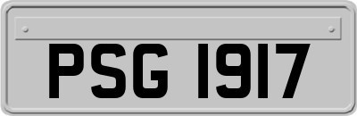 PSG1917