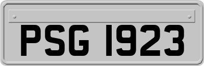 PSG1923