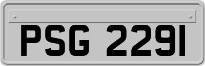 PSG2291