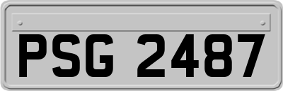 PSG2487