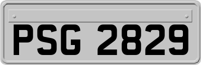 PSG2829